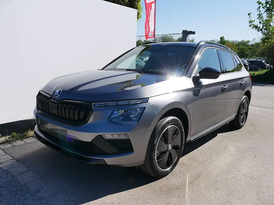 Skoda Kamiq - Thumbnail 1