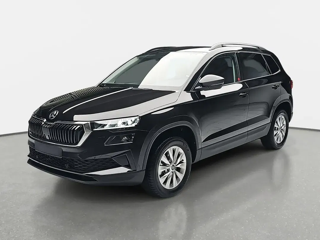 Skoda Karoq - Thumbnail 1