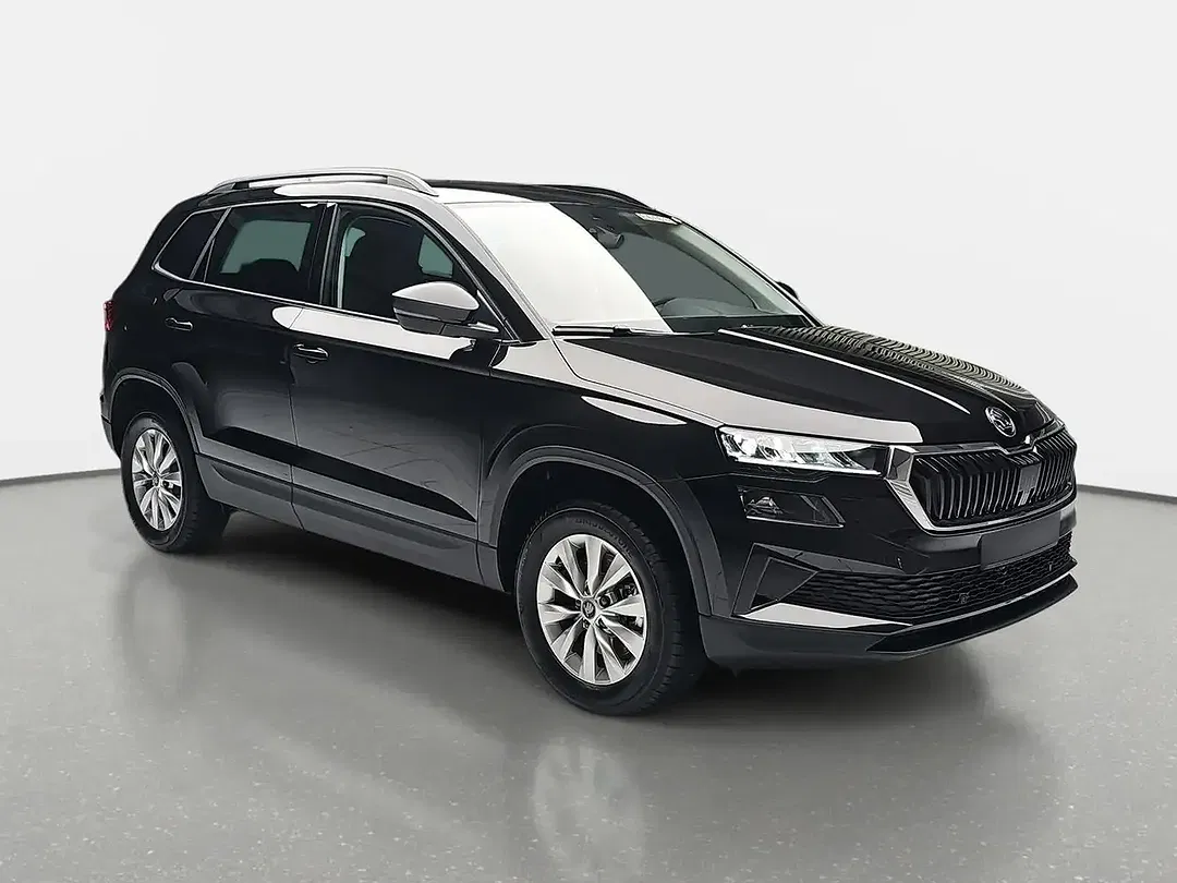 Skoda Karoq - Thumbnail 2