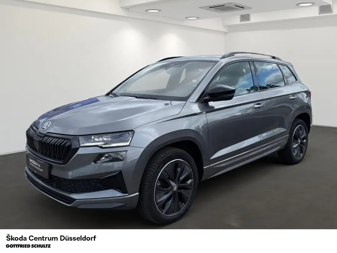 Skoda Karoq - Thumbnail 1