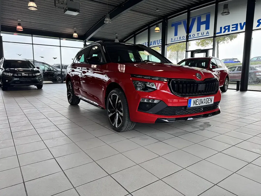 Skoda Kamiq - Thumbnail 11