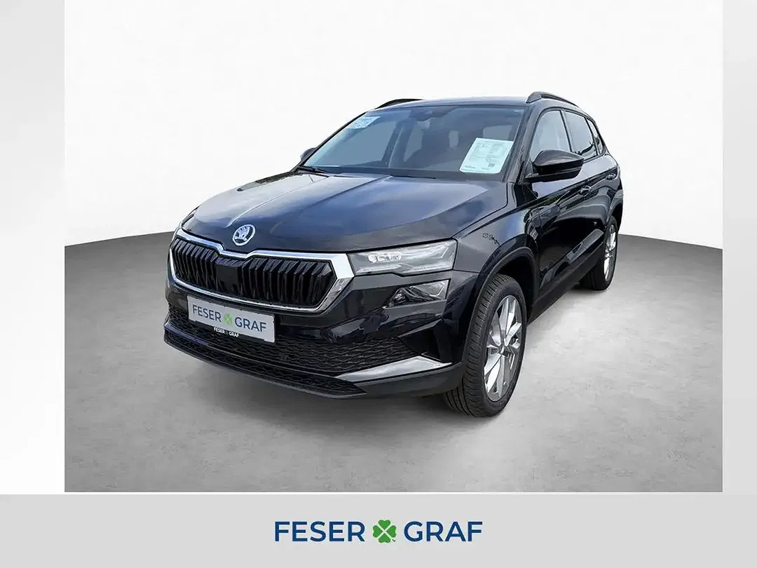 Skoda Karoq - Thumbnail 1