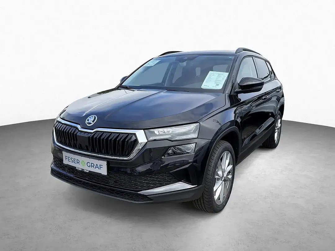 Skoda Karoq - Thumbnail 11