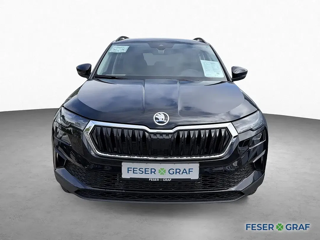 Skoda Karoq - Thumbnail 2