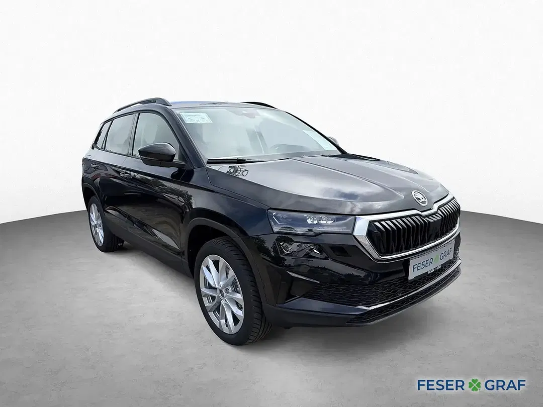 Skoda Karoq - Thumbnail 3