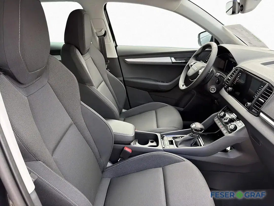 Skoda Karoq - Thumbnail 9