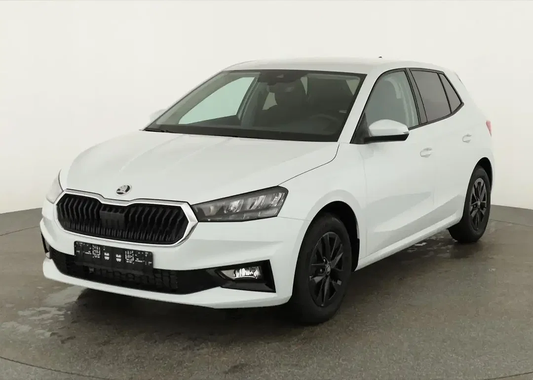 Skoda Fabia - Afbeelding 1