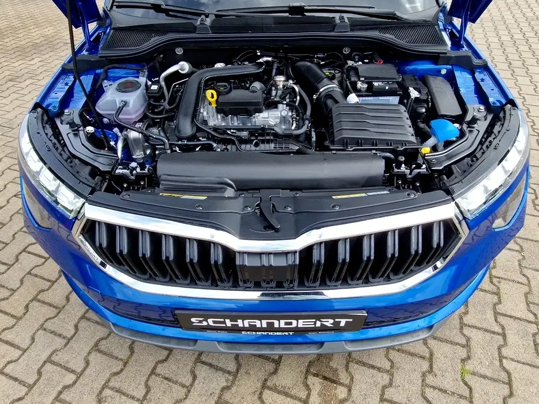 Skoda Kamiq - Thumbnail 15