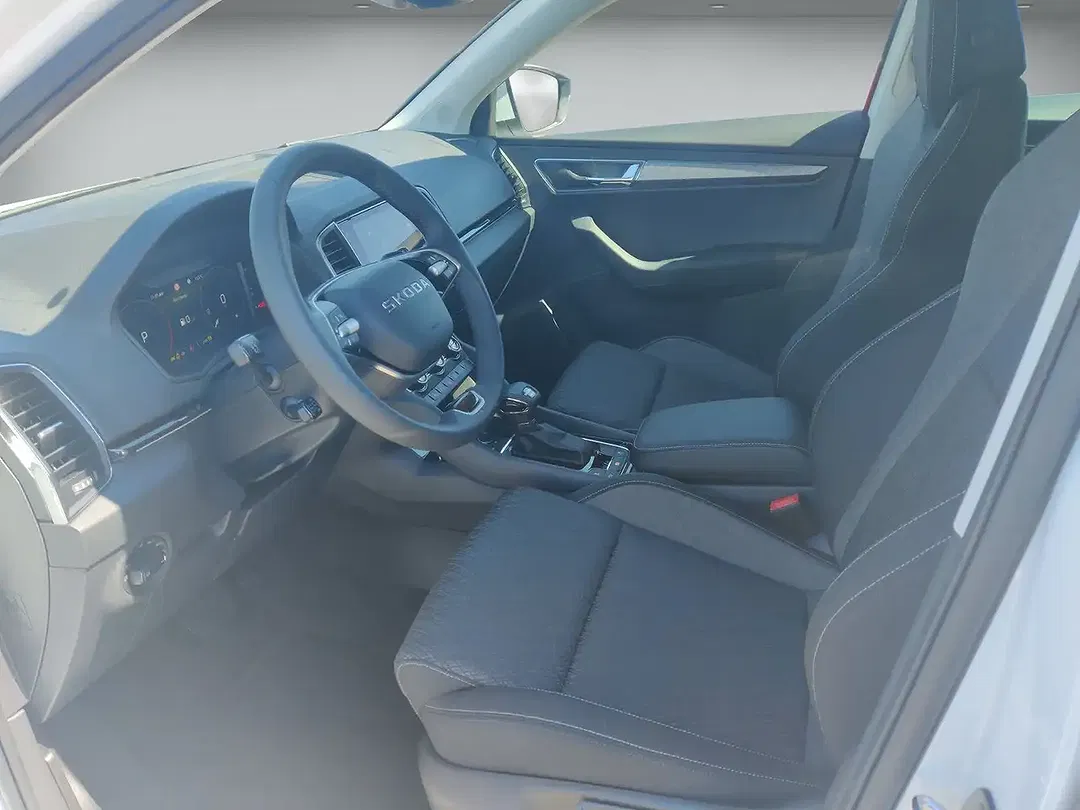Skoda Karoq - Thumbnail 10