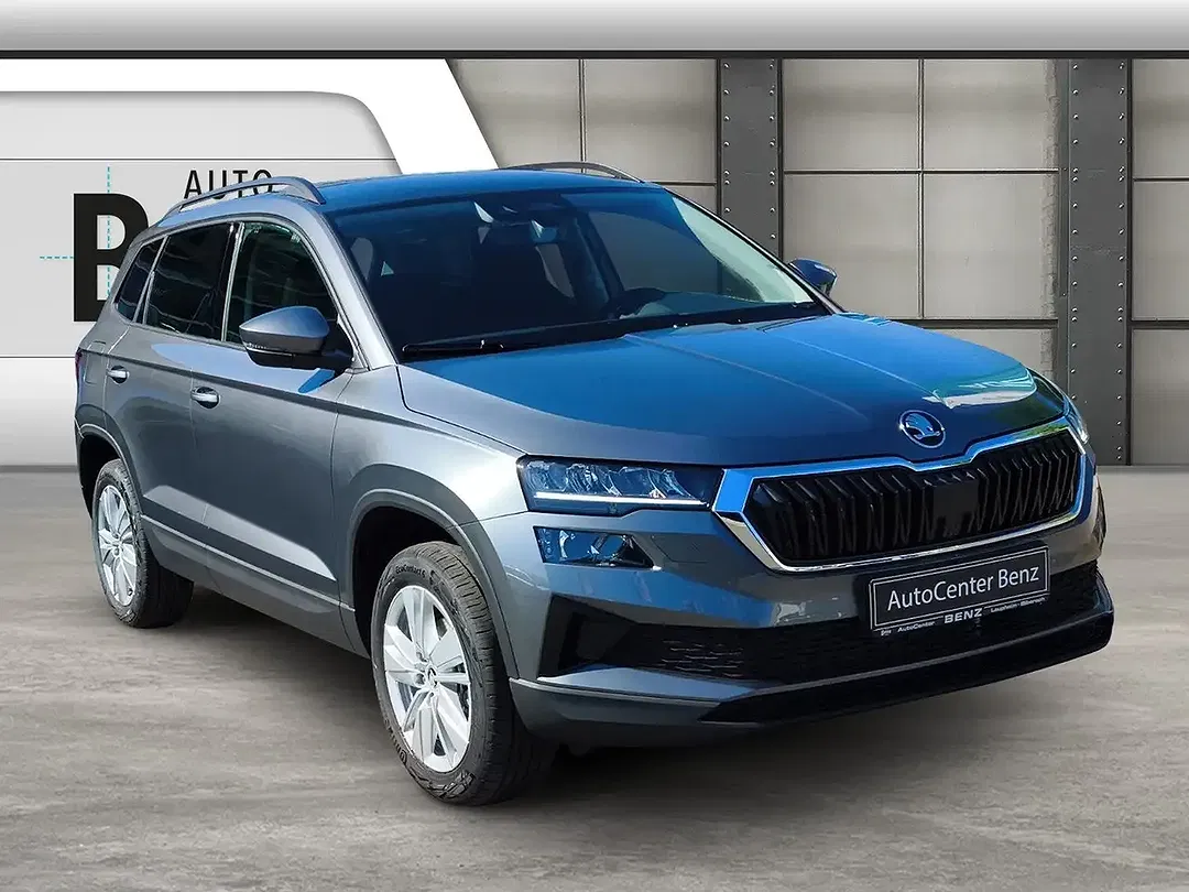 Skoda Karoq - Thumbnail 7