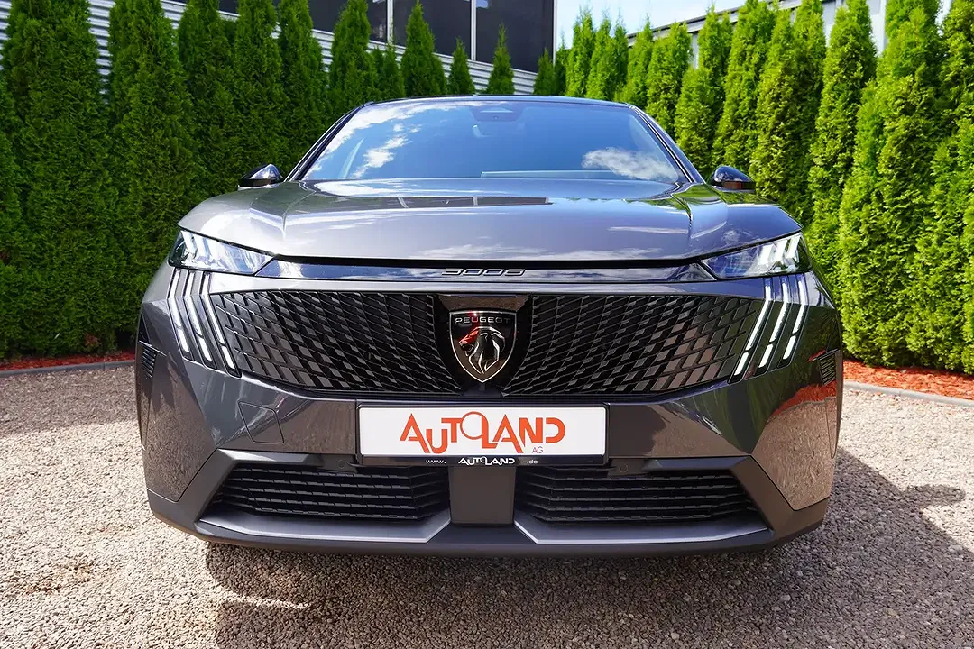 Peugeot 3008 - Thumbnail 6