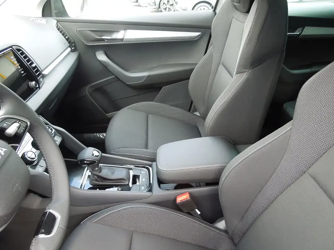 Skoda Karoq - Thumbnail 10