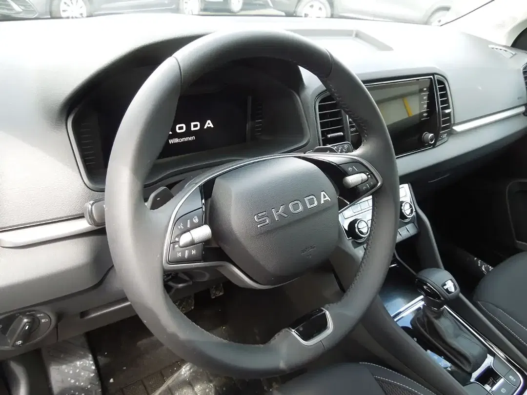 Skoda Karoq - Thumbnail 6