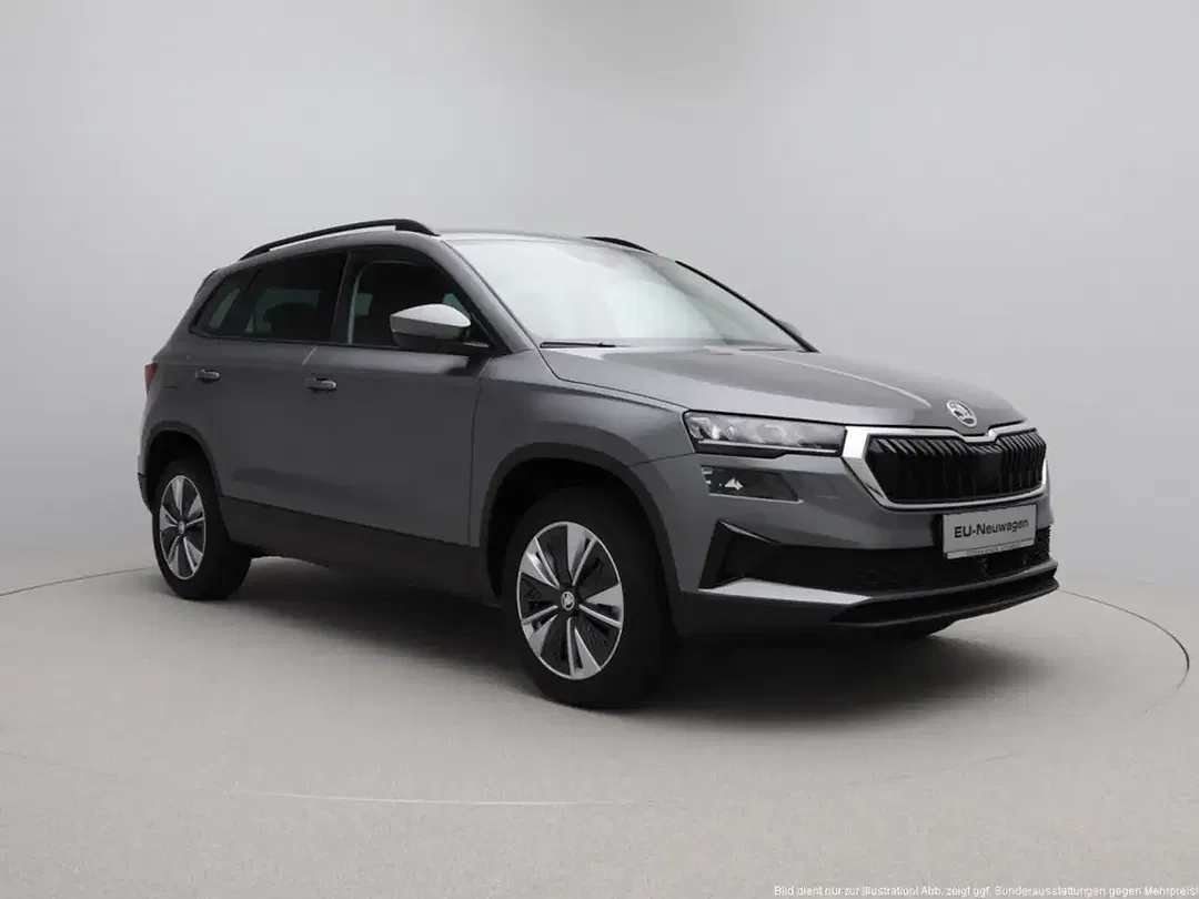 Skoda Karoq - Thumbnail 10
