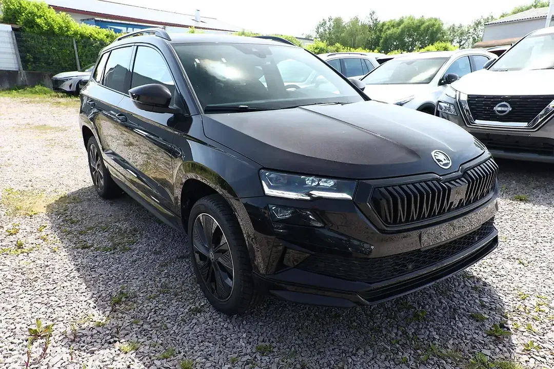 Skoda Karoq - Thumbnail 2