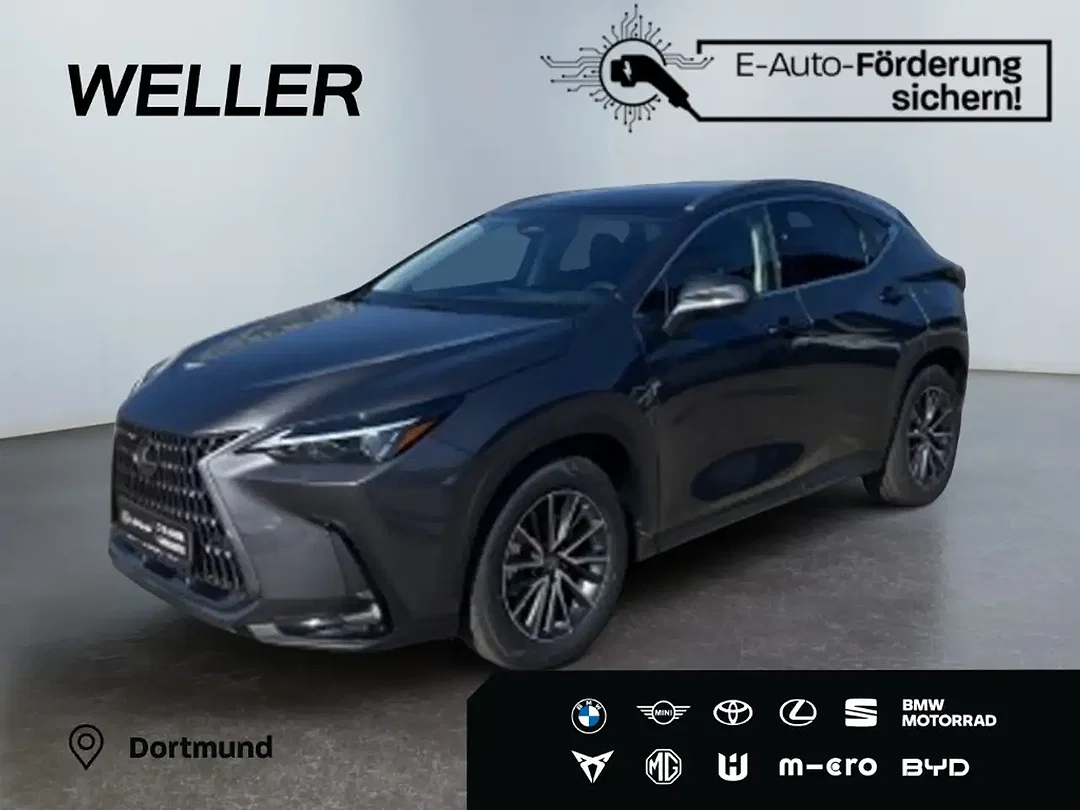 Lexus NX 450h+ - Afbeelding 1