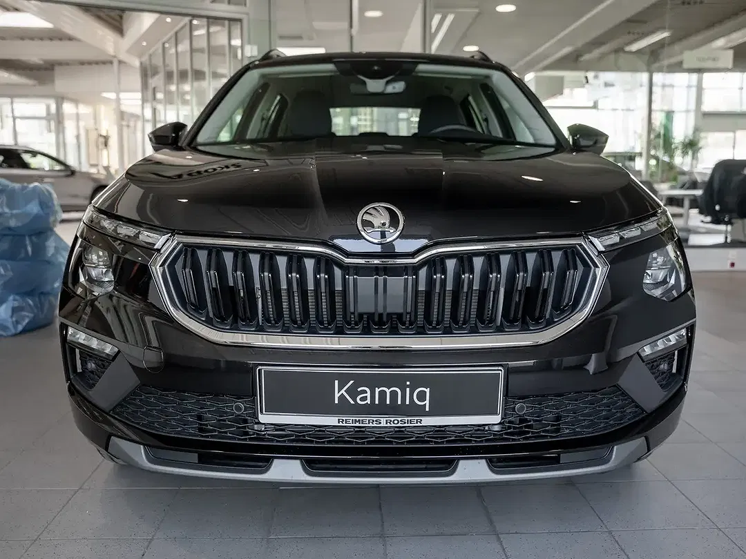 Skoda Kamiq - Thumbnail 2
