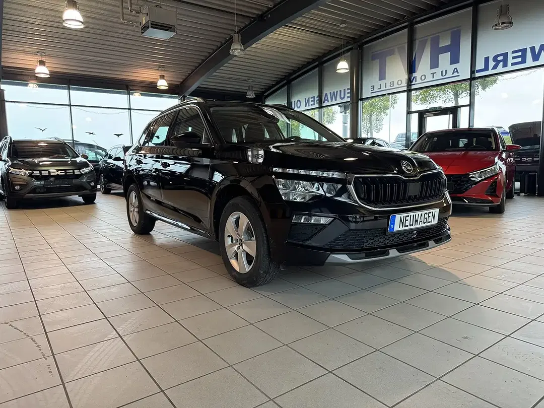 Skoda Kamiq - Thumbnail 11
