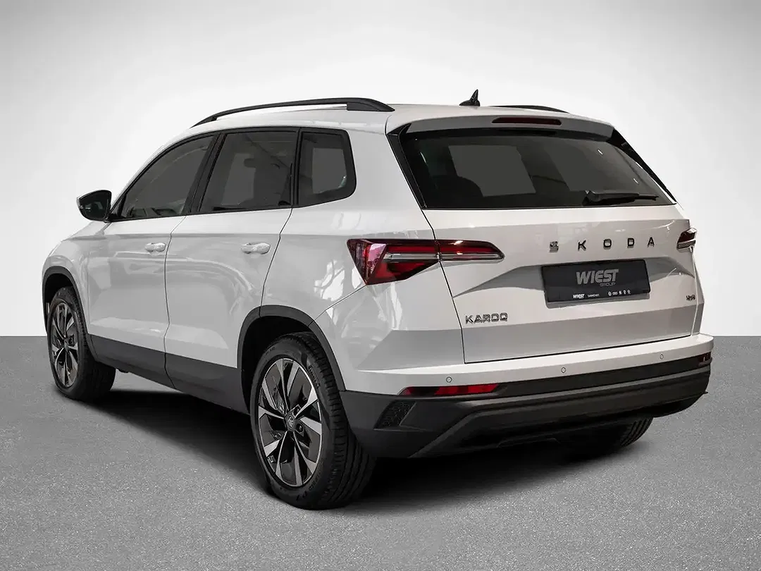 Skoda Karoq - Thumbnail 4