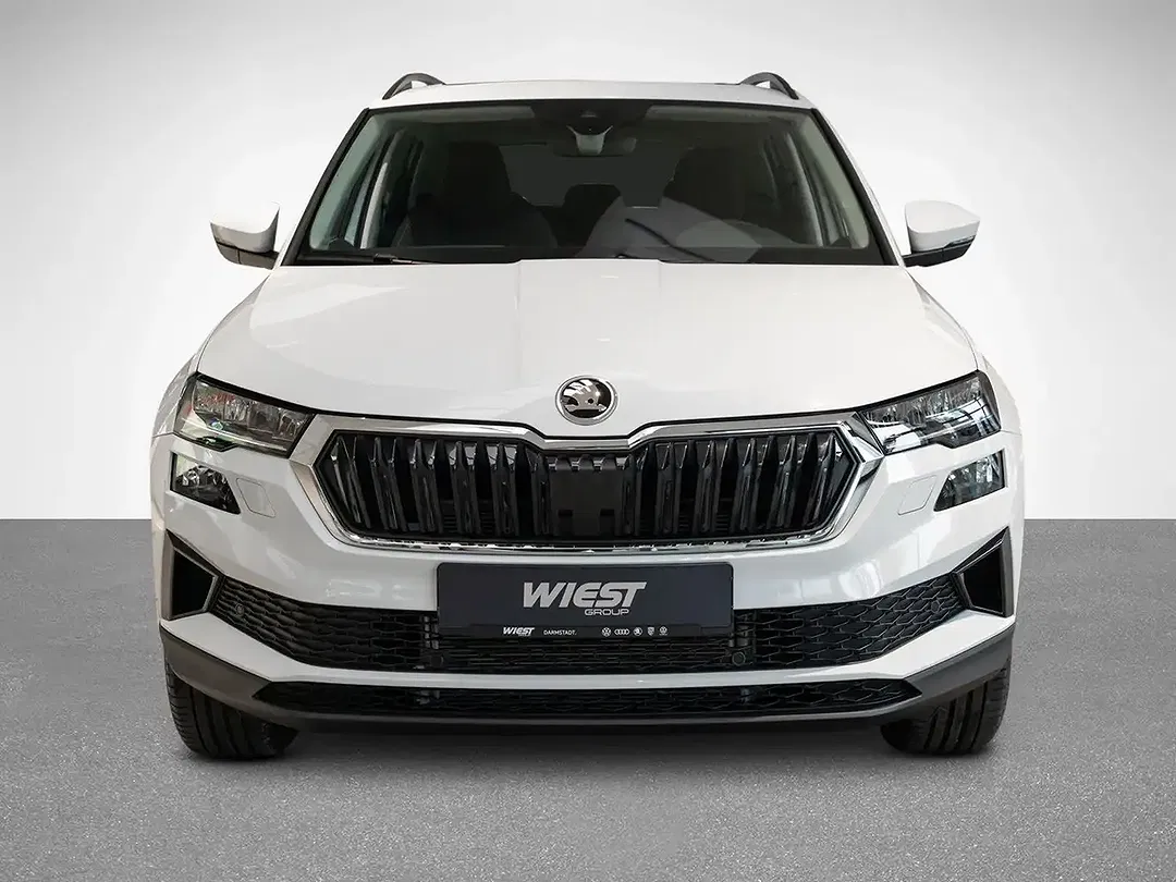 Skoda Karoq - Thumbnail 8