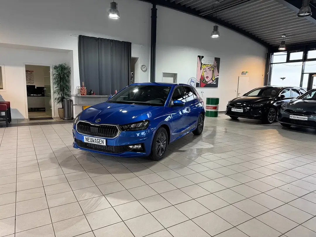 Skoda Fabia - Thumbnail 1
