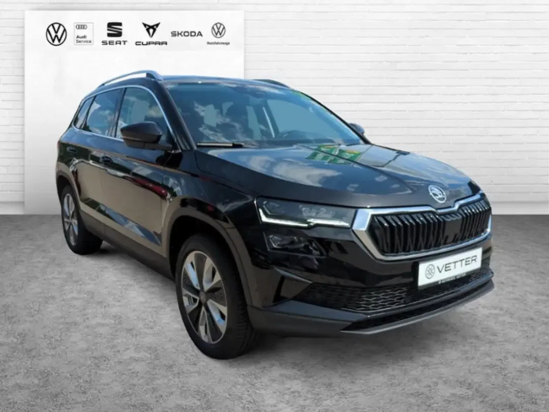 Skoda Karoq - Thumbnail 14