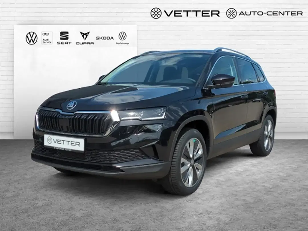 Skoda Karoq - Thumbnail 2