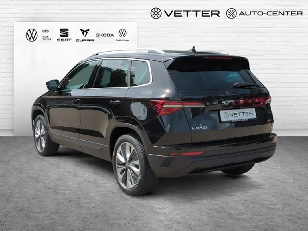Skoda Karoq - Thumbnail 4