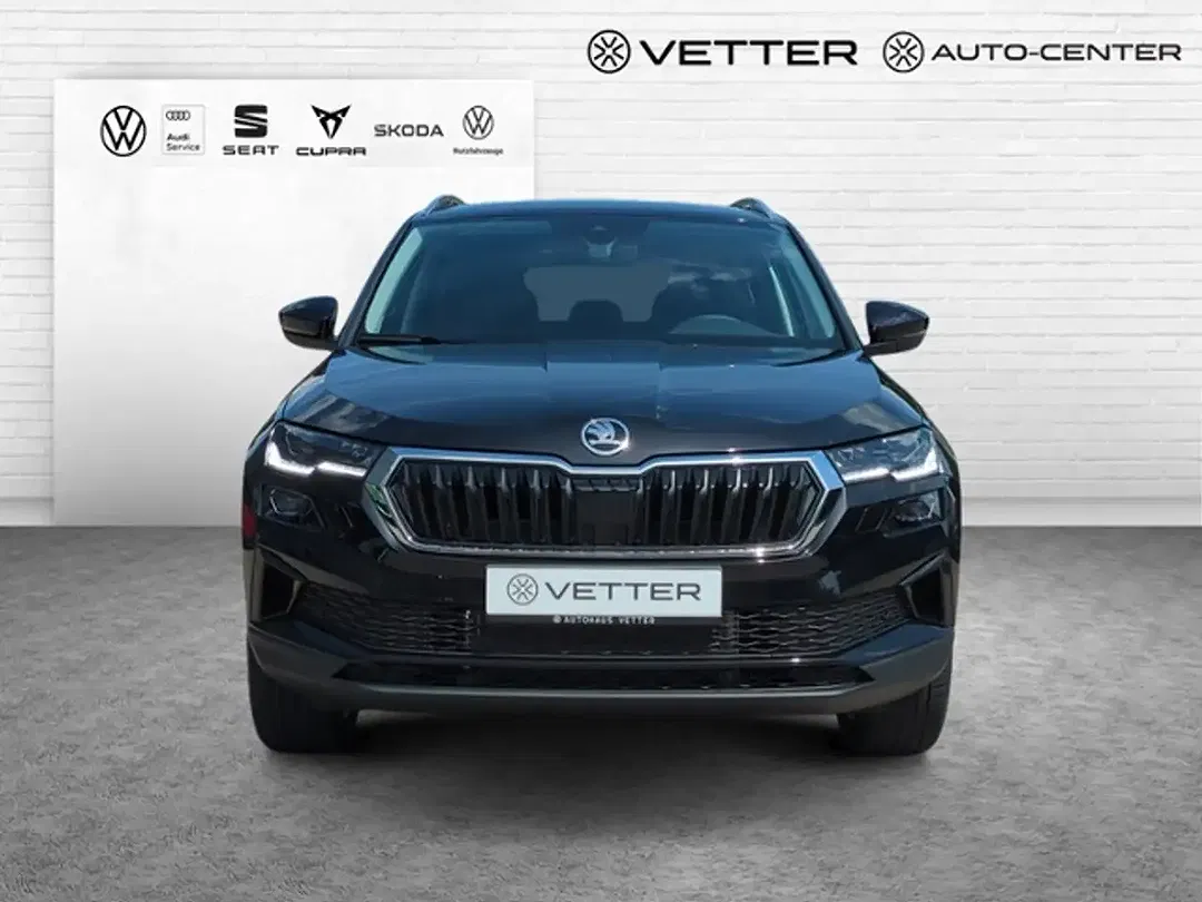 Skoda Karoq - Thumbnail 6