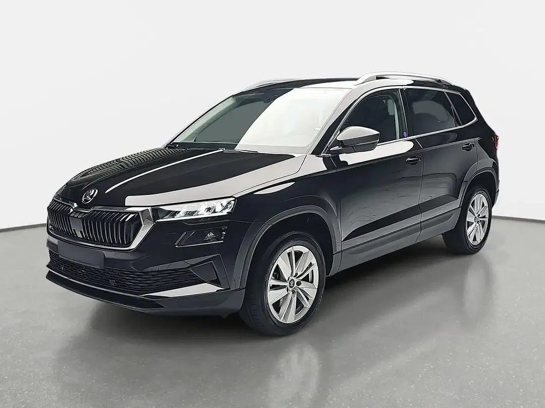 Skoda Karoq - Thumbnail 1