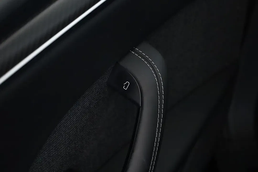 Tesla Model X - Thumbnail 12