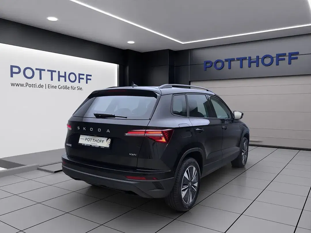 Skoda Karoq - Thumbnail 6