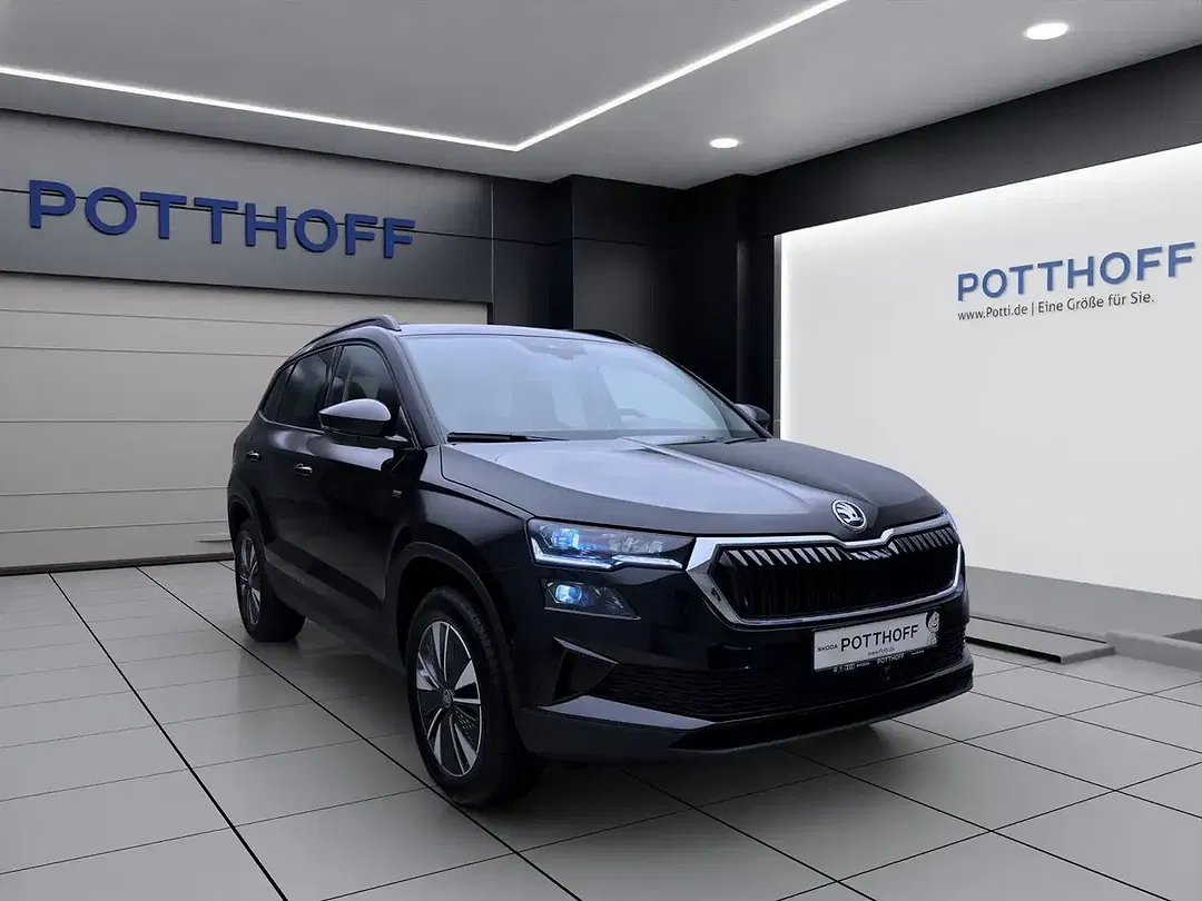Skoda Karoq - Thumbnail 7