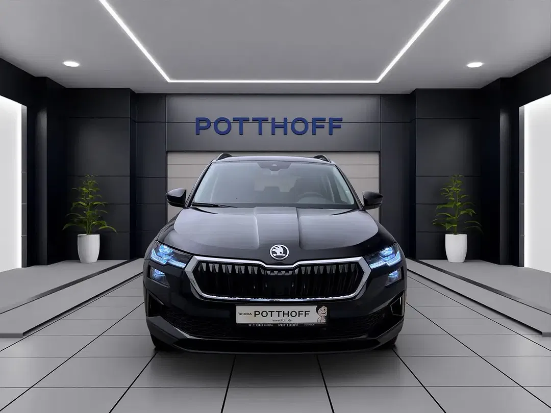 Skoda Karoq - Thumbnail 8
