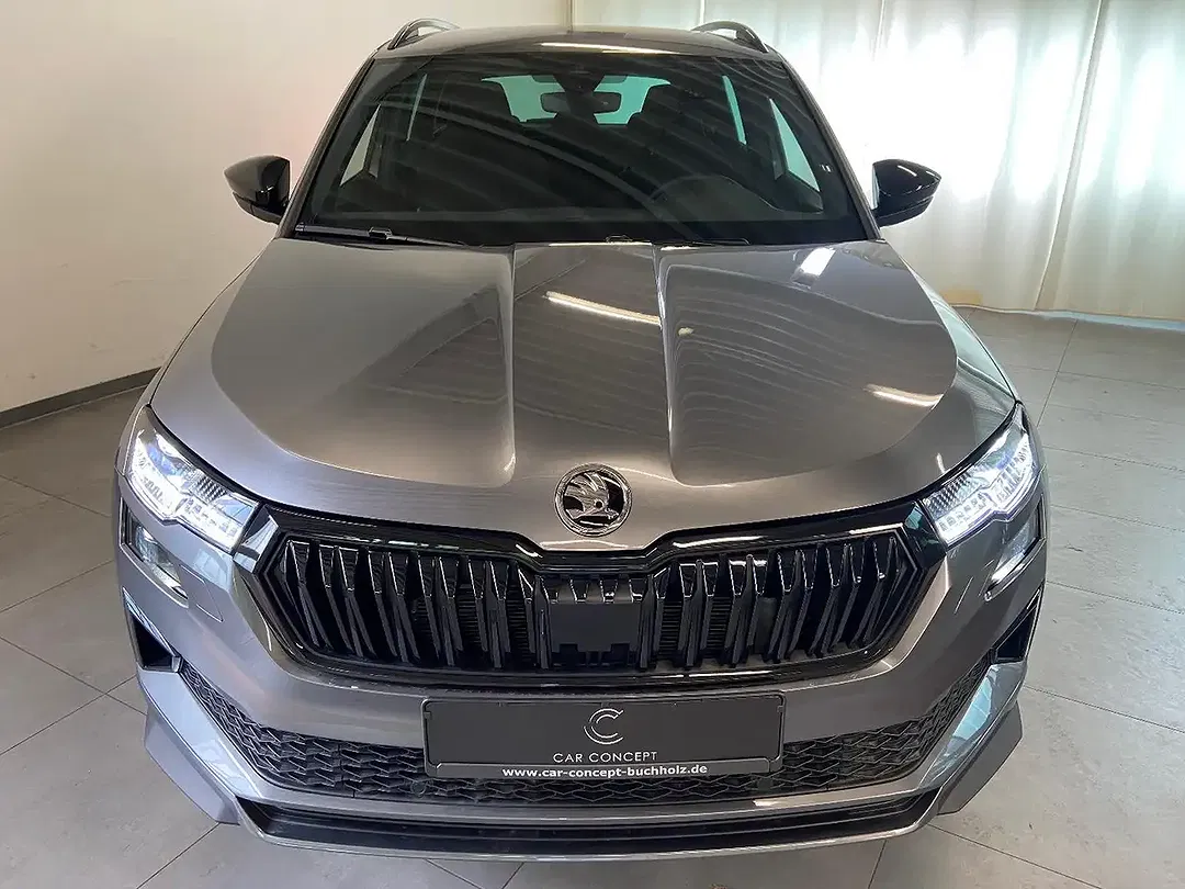 Skoda Karoq - Thumbnail 2