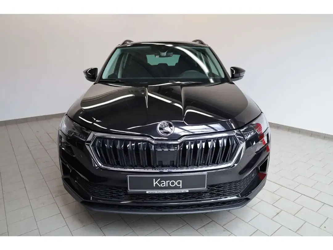 Skoda Karoq - Thumbnail 2