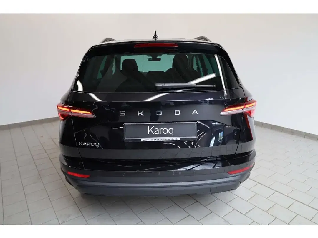 Skoda Karoq - Thumbnail 4