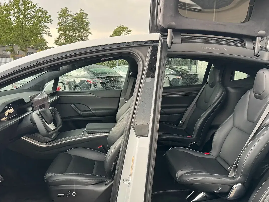 Tesla Model X - Thumbnail 13