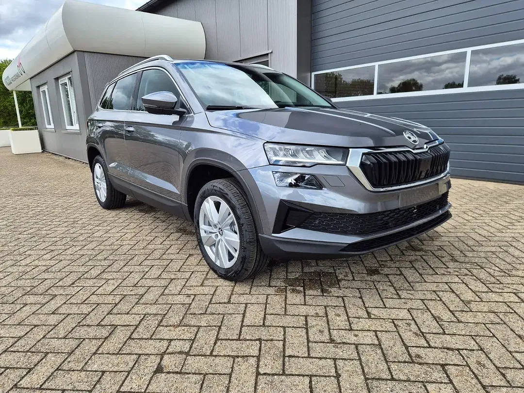 Skoda Karoq - Thumbnail 8