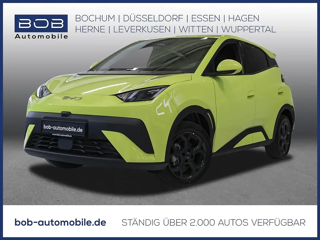 BYD Dolphin - Afbeelding 1