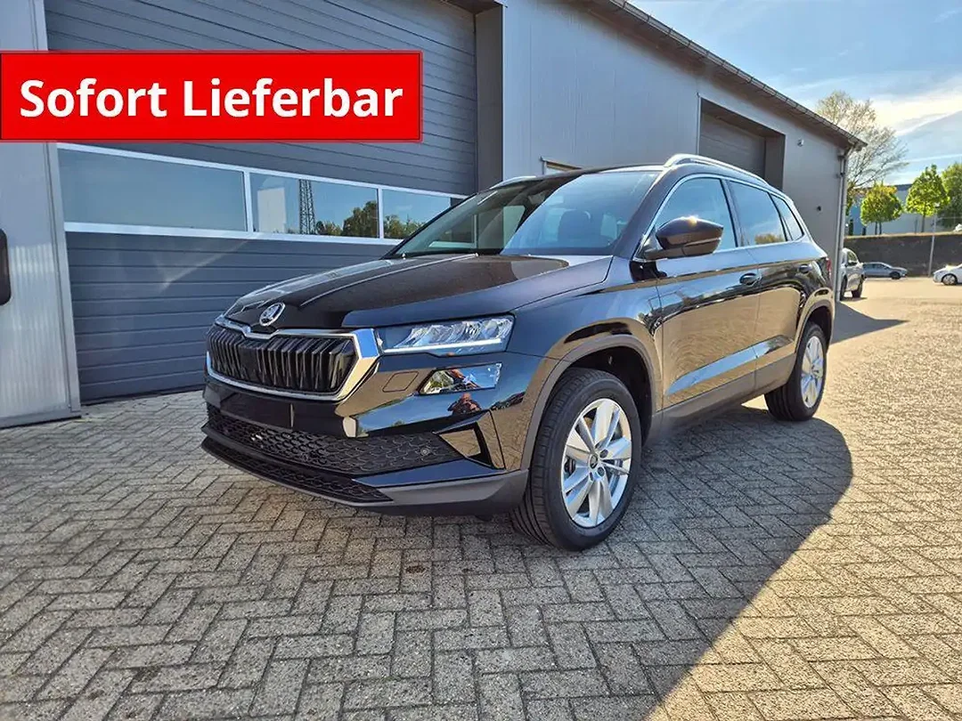 Skoda Karoq - Afbeelding 1