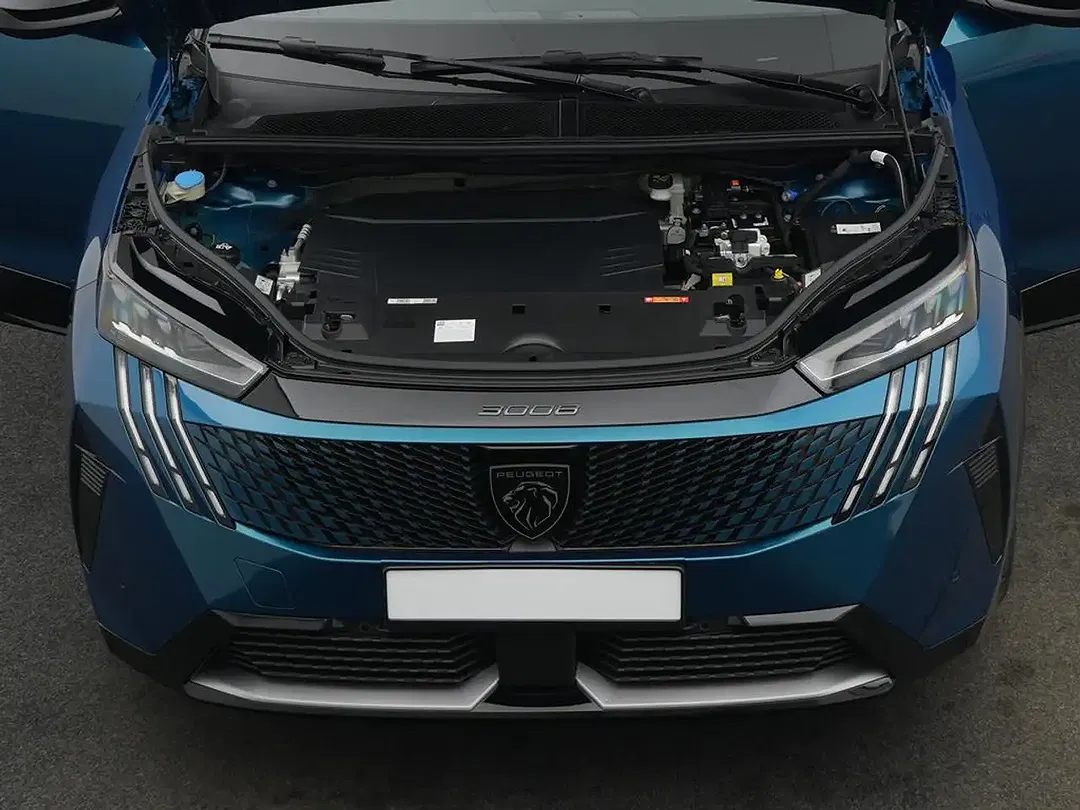 Peugeot 3008 - Thumbnail 5