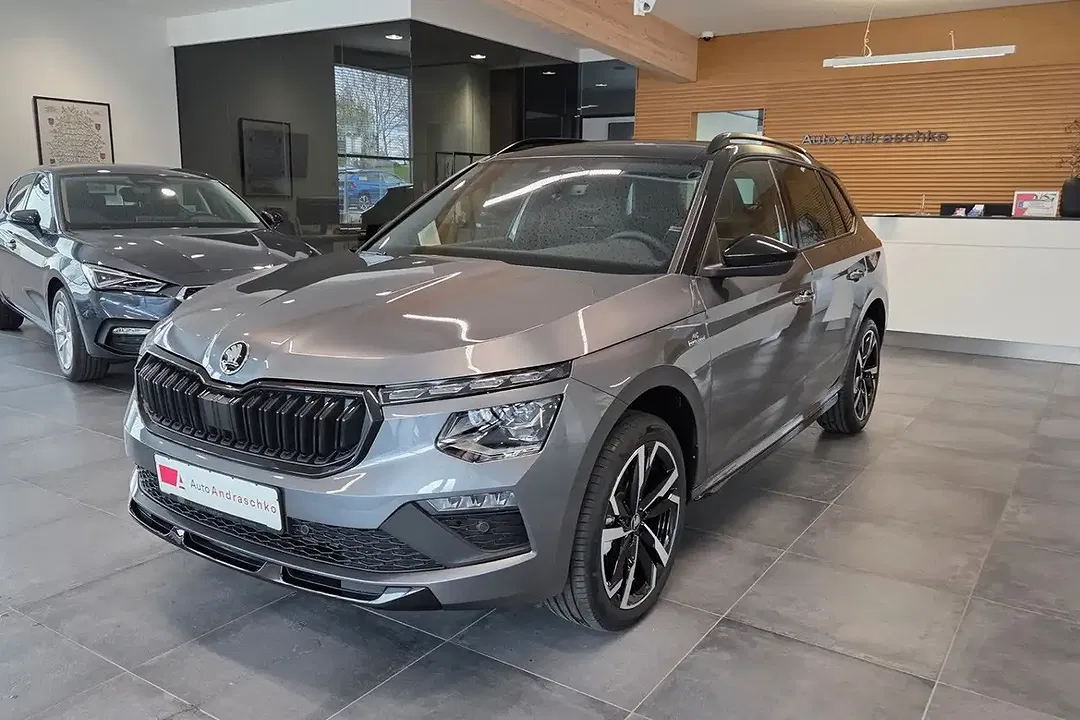 Skoda Kamiq - Thumbnail 1