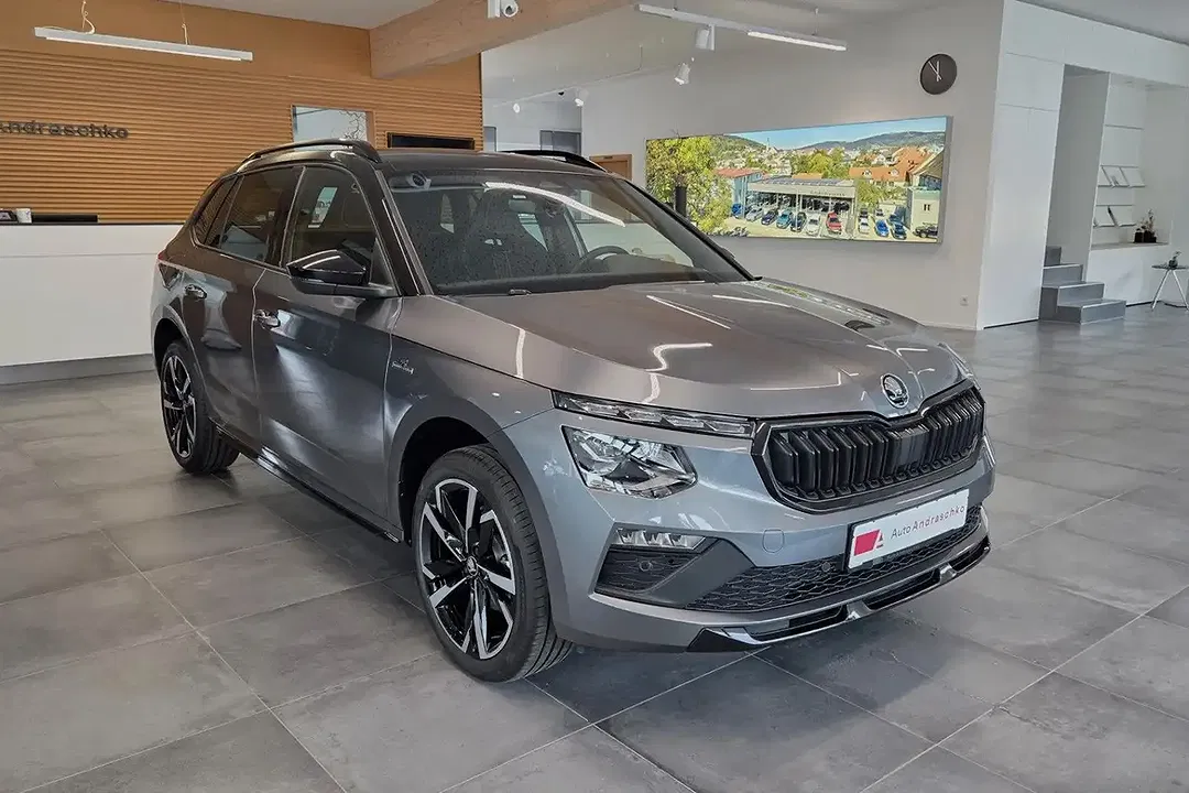 Skoda Kamiq - Thumbnail 3