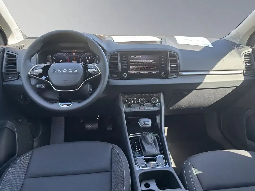 Skoda Karoq - Thumbnail 14
