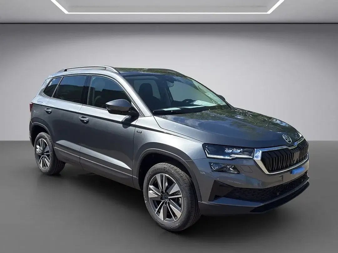 Skoda Karoq - Thumbnail 7