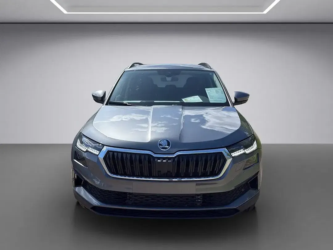 Skoda Karoq - Thumbnail 8