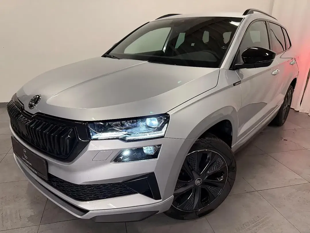 Skoda Karoq - Thumbnail 1