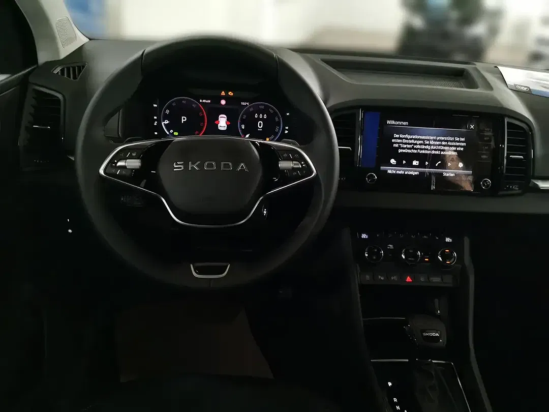 Skoda Karoq - Thumbnail 10