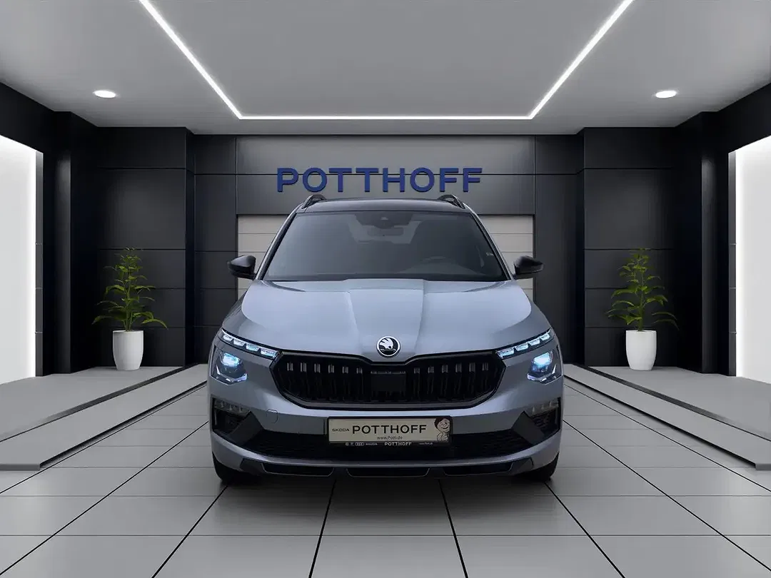 Skoda Kamiq - Thumbnail 8